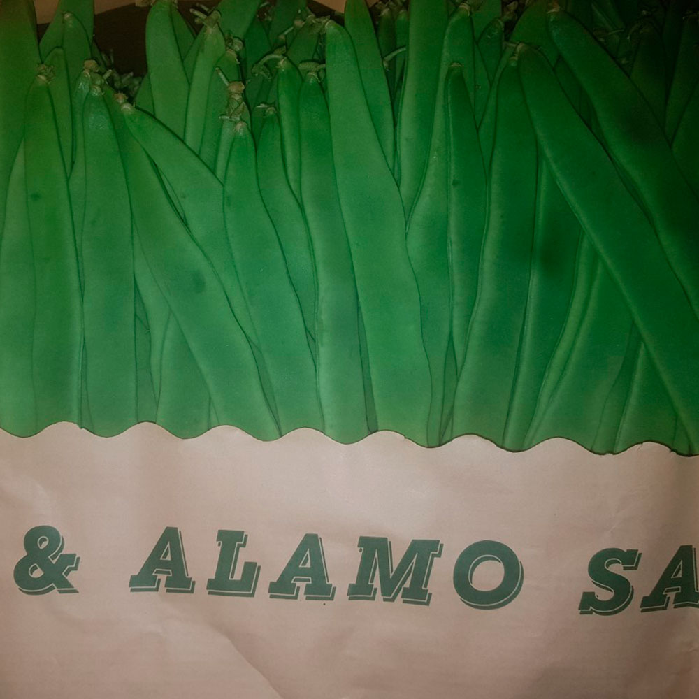 JUDÍA VERDE(1Kg) - SERVIFRUTA MADRID